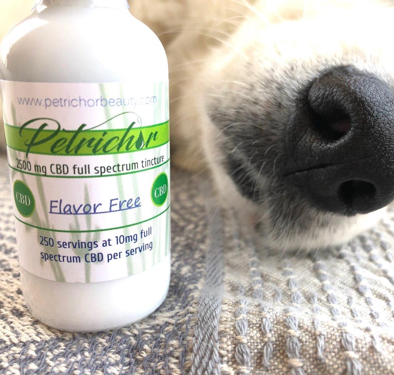  Pet CBD Full Spectrum Tincture for Natural Pet Wellness