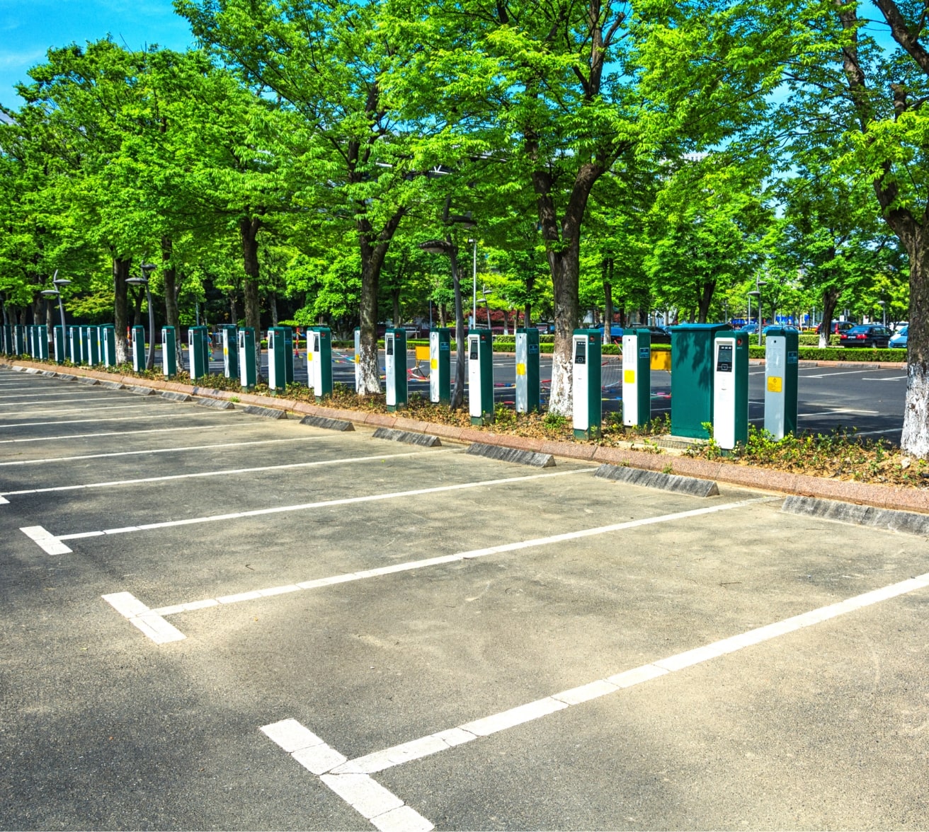  Professional No Parking Line Marking Services for Safe Traffic Management Solutions