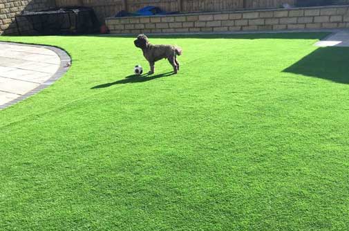  20 mm artificial grass