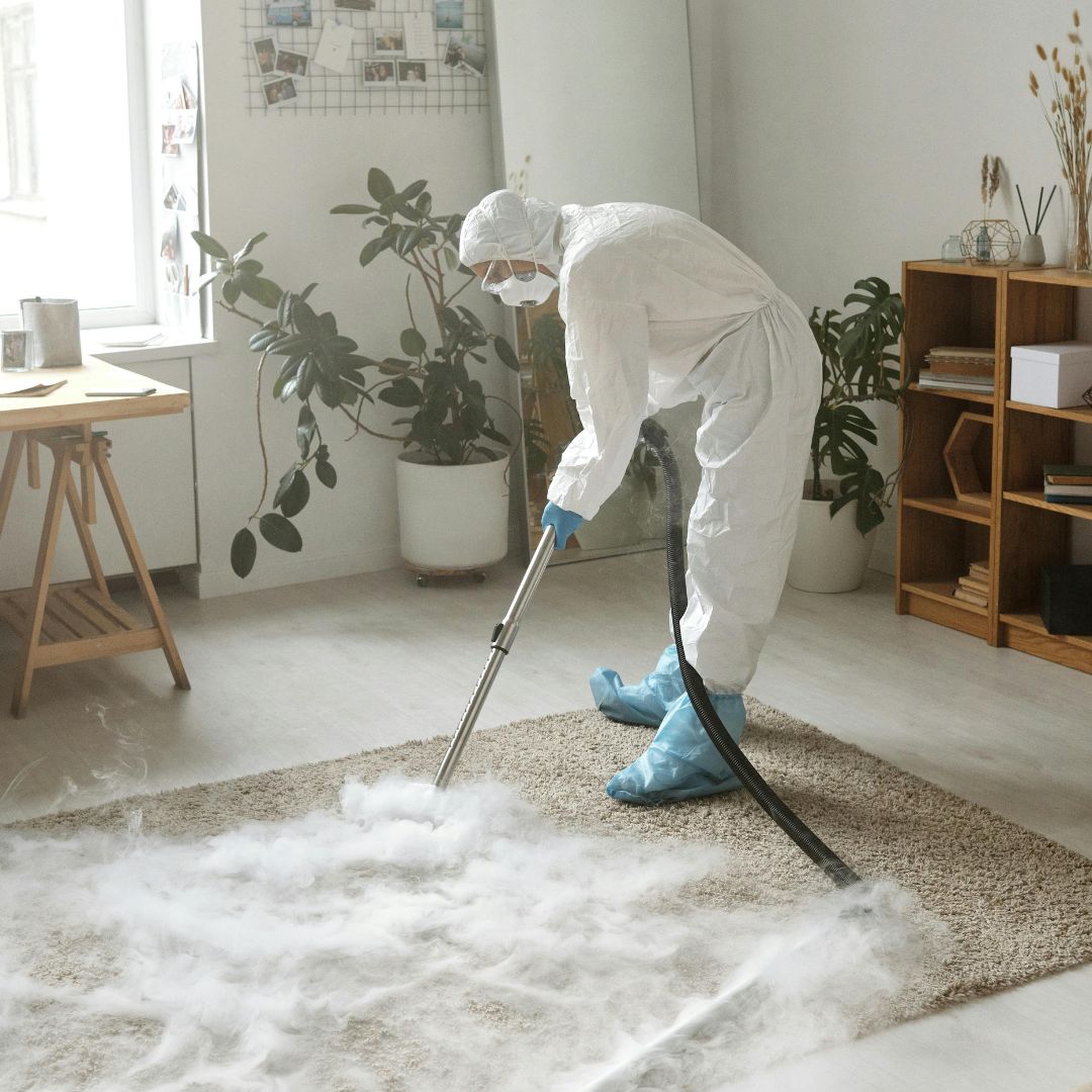  Bay Ultra Dry | Professional Carpet Cleaning Tauranga