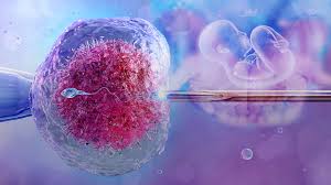  Ritu IVF