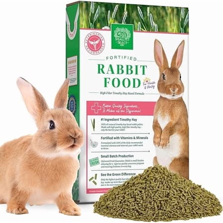  Rabbit Food
