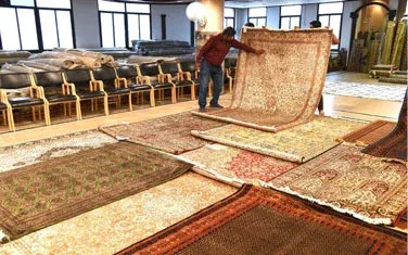  Ultimate Carpet for Living Room Buying Guide | Saraswati Global