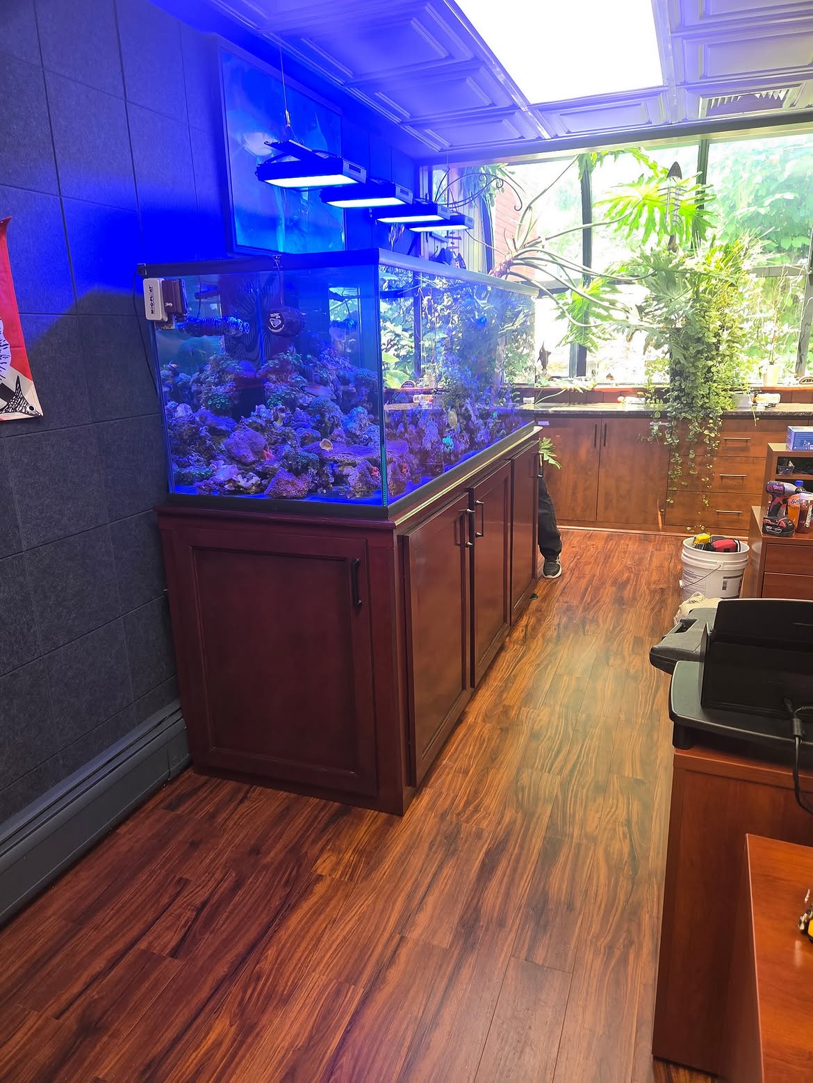  Best Aquarium Tank Size for Beginners in New Jersey | Custom Fish Tanks by JK-Fish