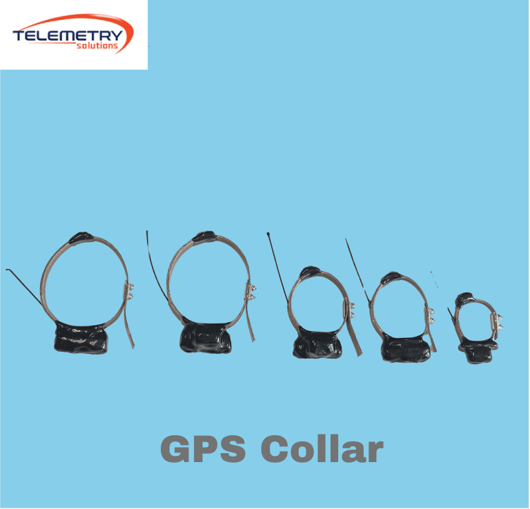  GPS Collar with Advanced Technology for Wildlife Conservation