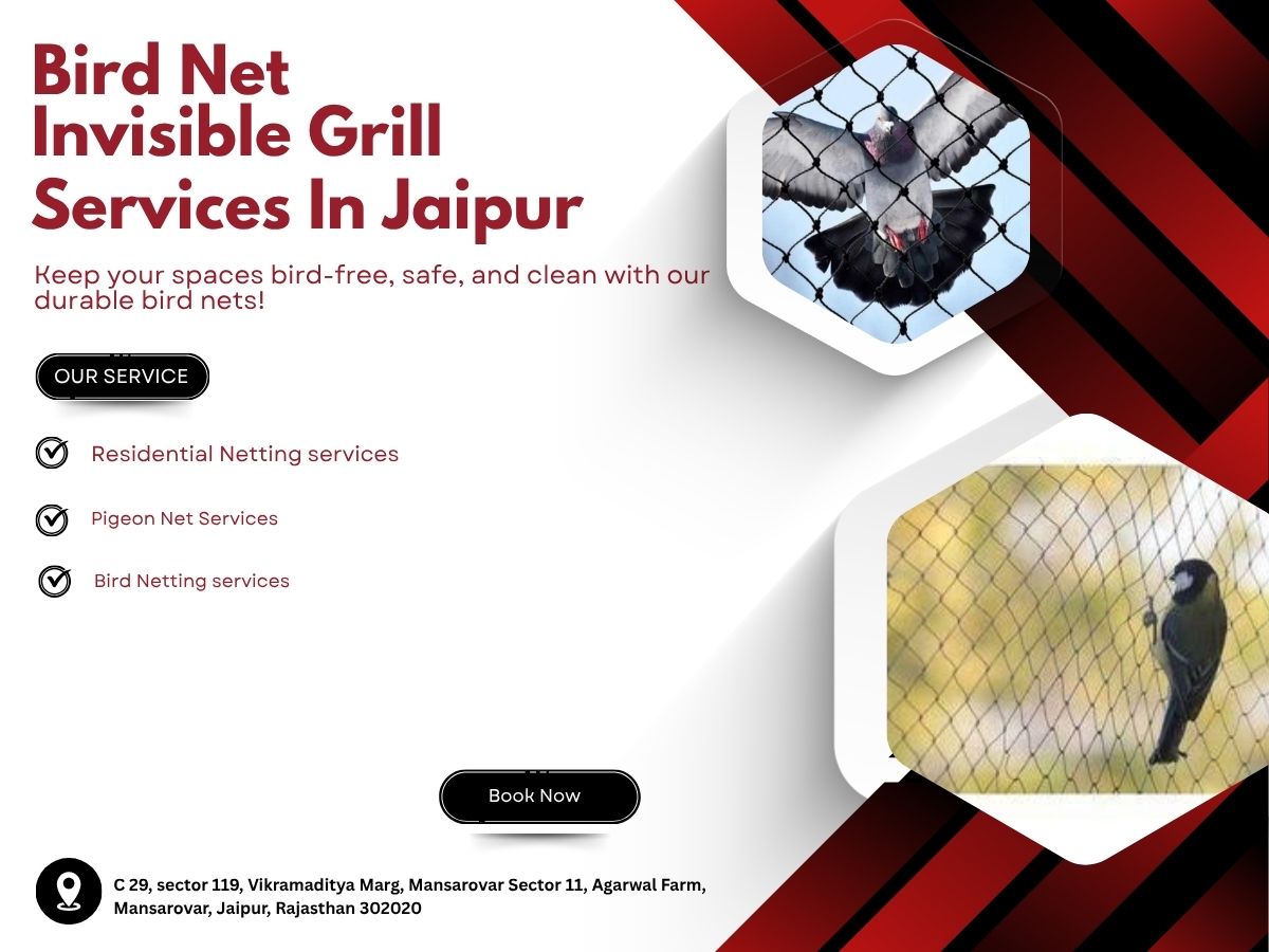  Premium Pigeon Net Service