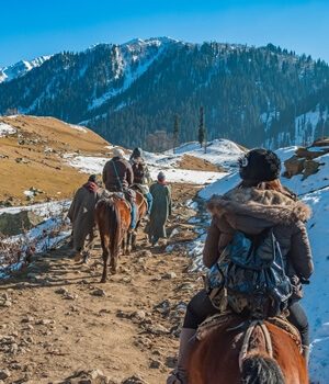  Explore Leh Ladakh Tour Packages – Enquire Now