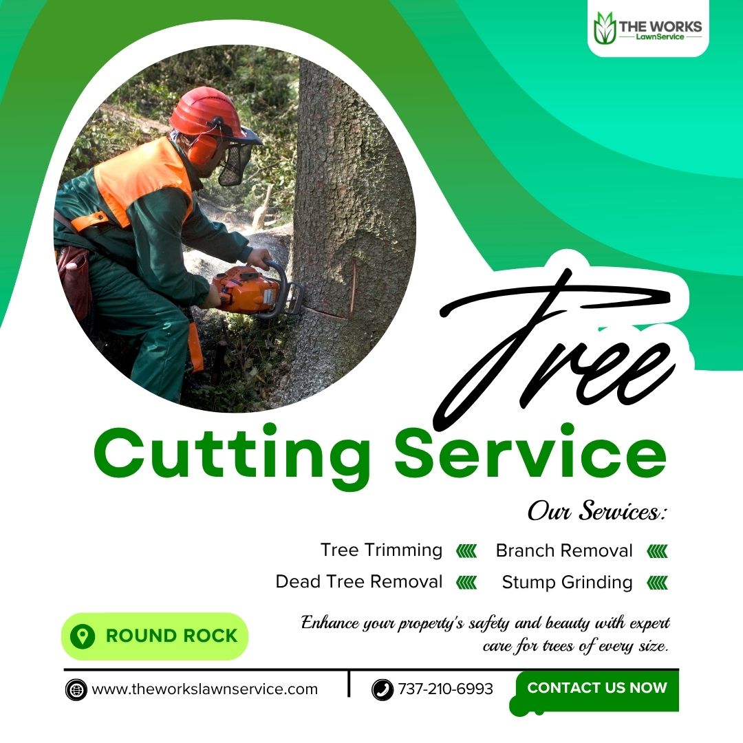  Tree Cutting Service in Round Rock