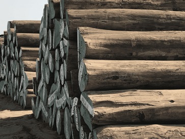  Gandhidham Wood Supplier