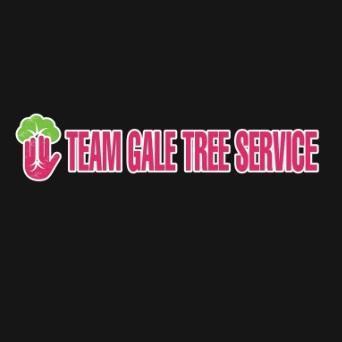 Team Gale Tree Service Riverside