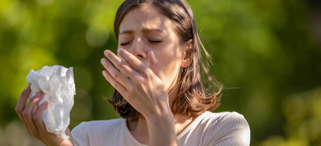  Allergy news