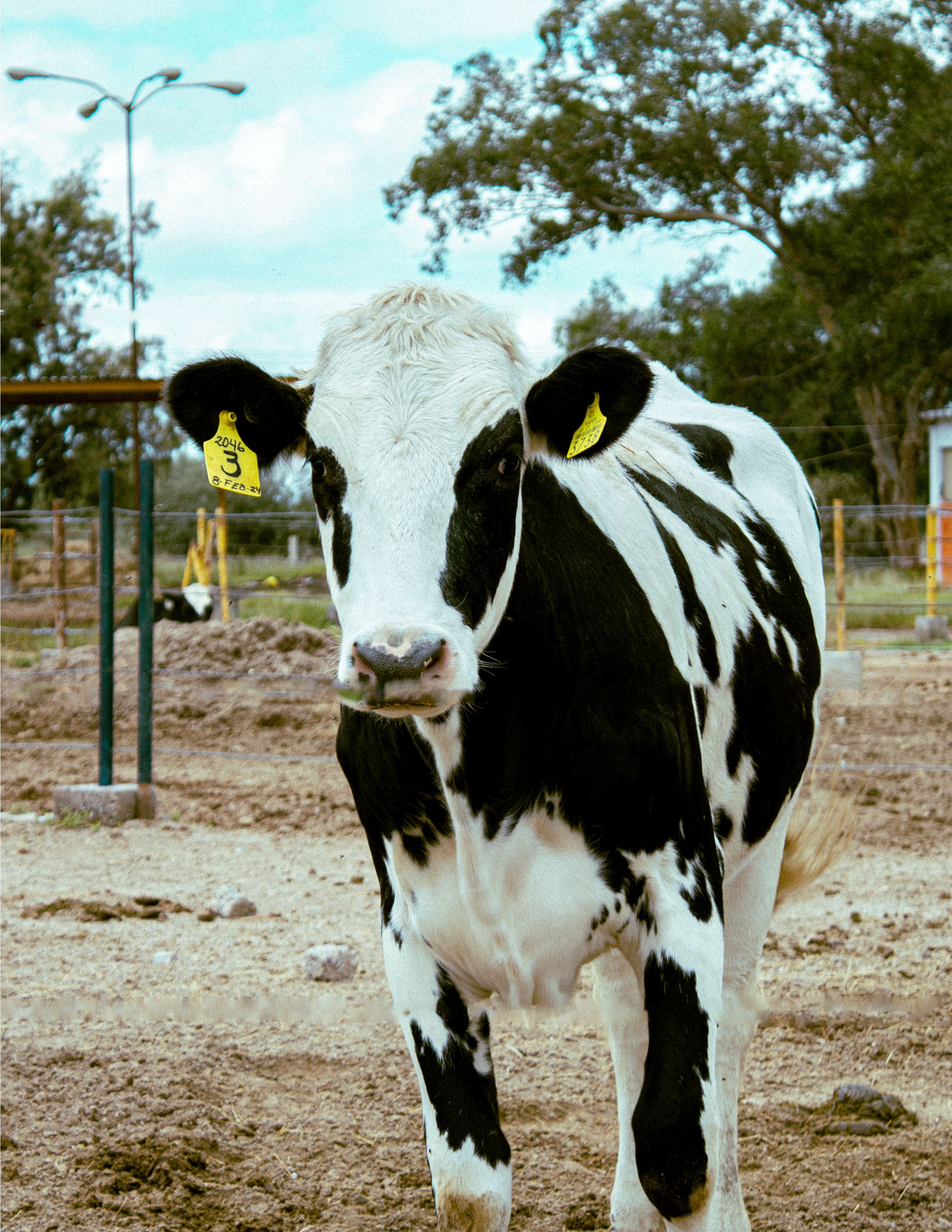  Vansun Milking Dairy Farm Solutions in India for Modern Dairy Farms of All Sizes