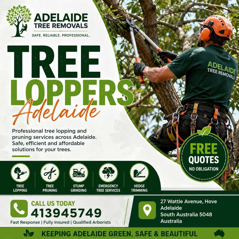 Professional Tree Loppers Adelaide | Safe & Reliable Tree Services