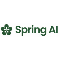  Spring AI