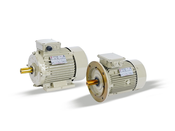  Best High Efficiency Standard Motor in Coimbatore