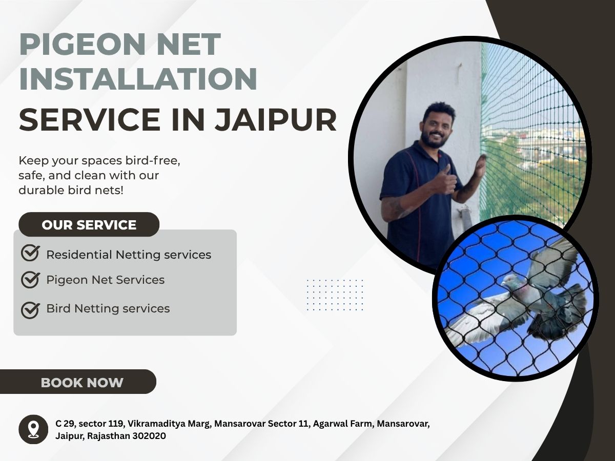  Pigeon Net Installation Jaipur Experts