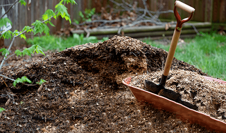  Care for Your Plants with Top Garden Supplies in Adelaide