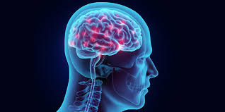 Brain Hemorrhage Treatment Cost | Expert Care & Advanced Treatment Options