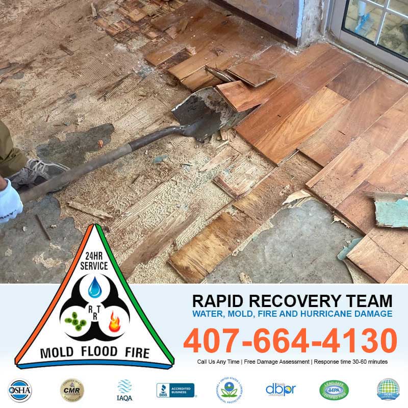  Water Damage Restoration Kissimmee