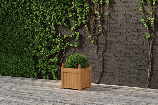  Solid Hardwood Teak Planters