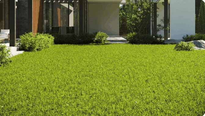  Complete Spring Cleanup Springfield VA Services