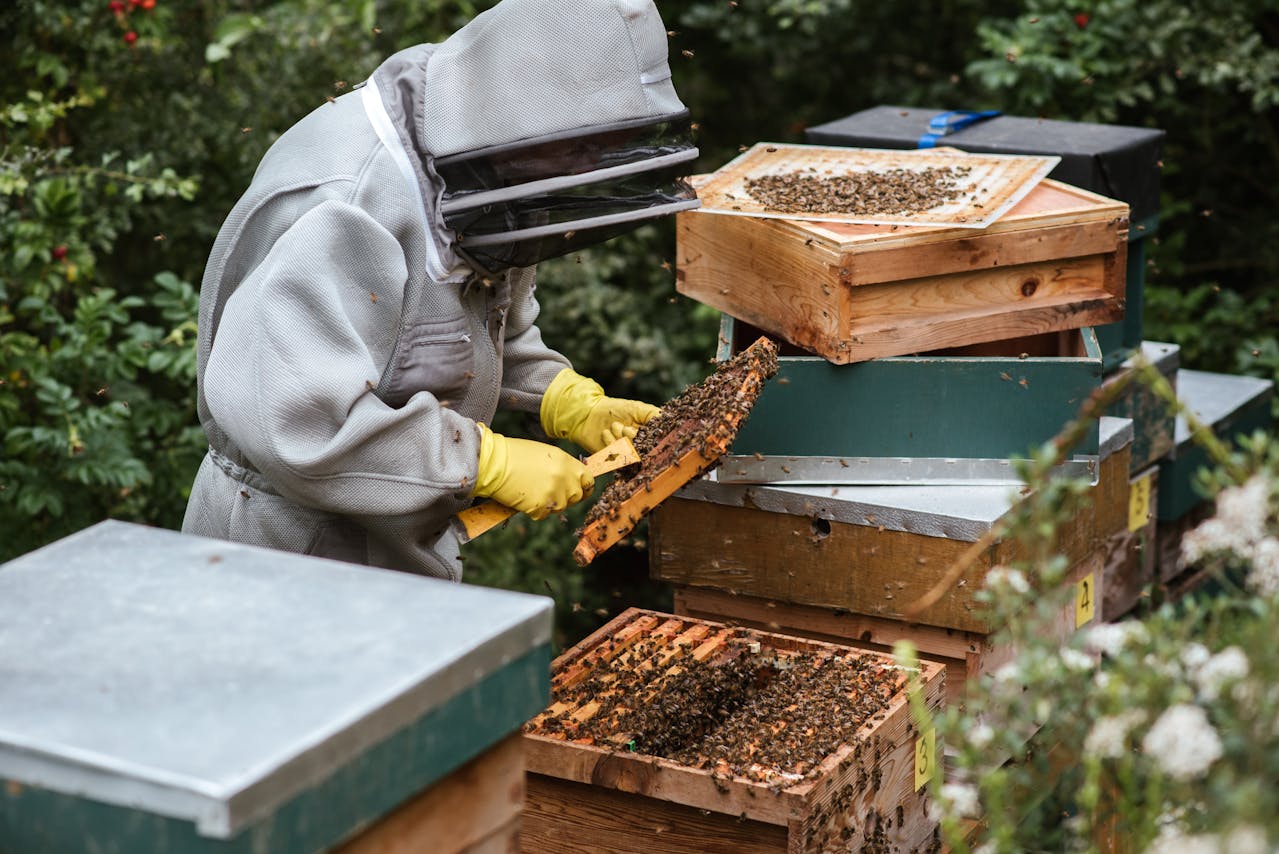  Honing Imker Kopen – 100% Natuurzuivere Honing bij MirApi