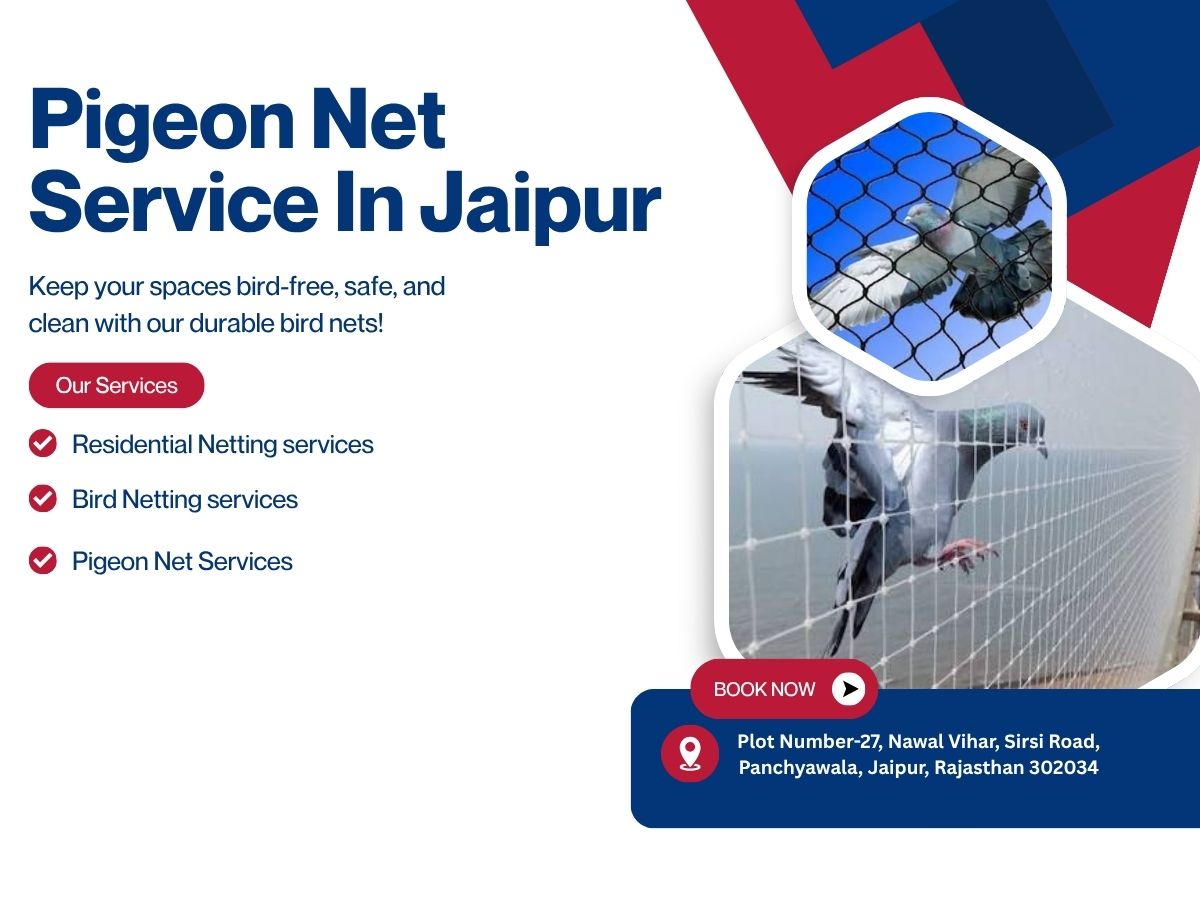  Pigeon Net Service in Jaipur Shield Pro