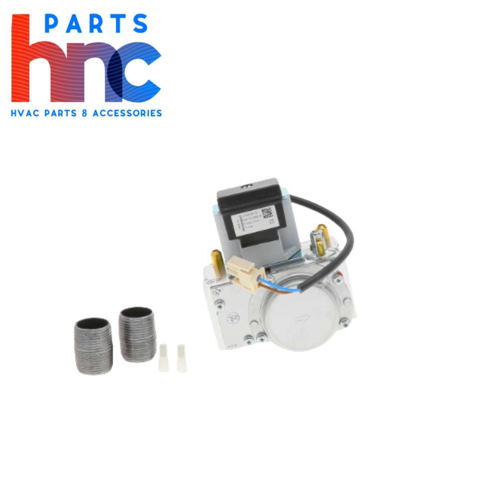  Lochinvar & A.O. Smith 100172009 Natural Gas Valve Assembly