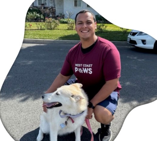 Affordable Los Angeles Pet Sitter – West Coast Paws
