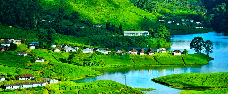  A Kerala Trip Plan for 5 Days That Covers Hills, Backwaters & Wildlife