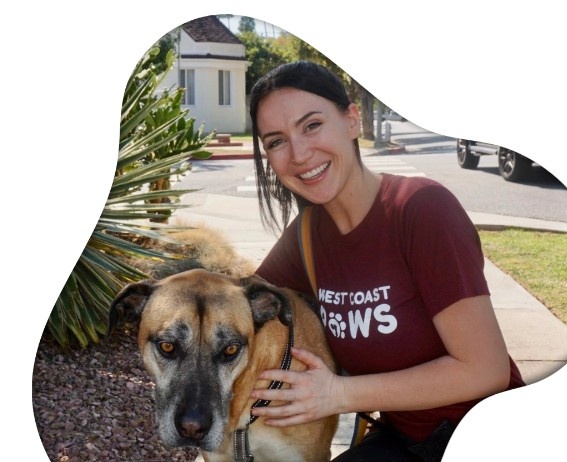  Reliable Beverly Hills Dog Sitters | West Coast Paws