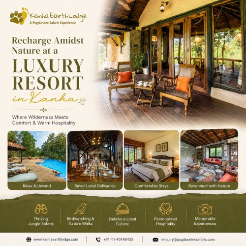  Recharge Amidst Nature at a Luxury Resort in Kanha