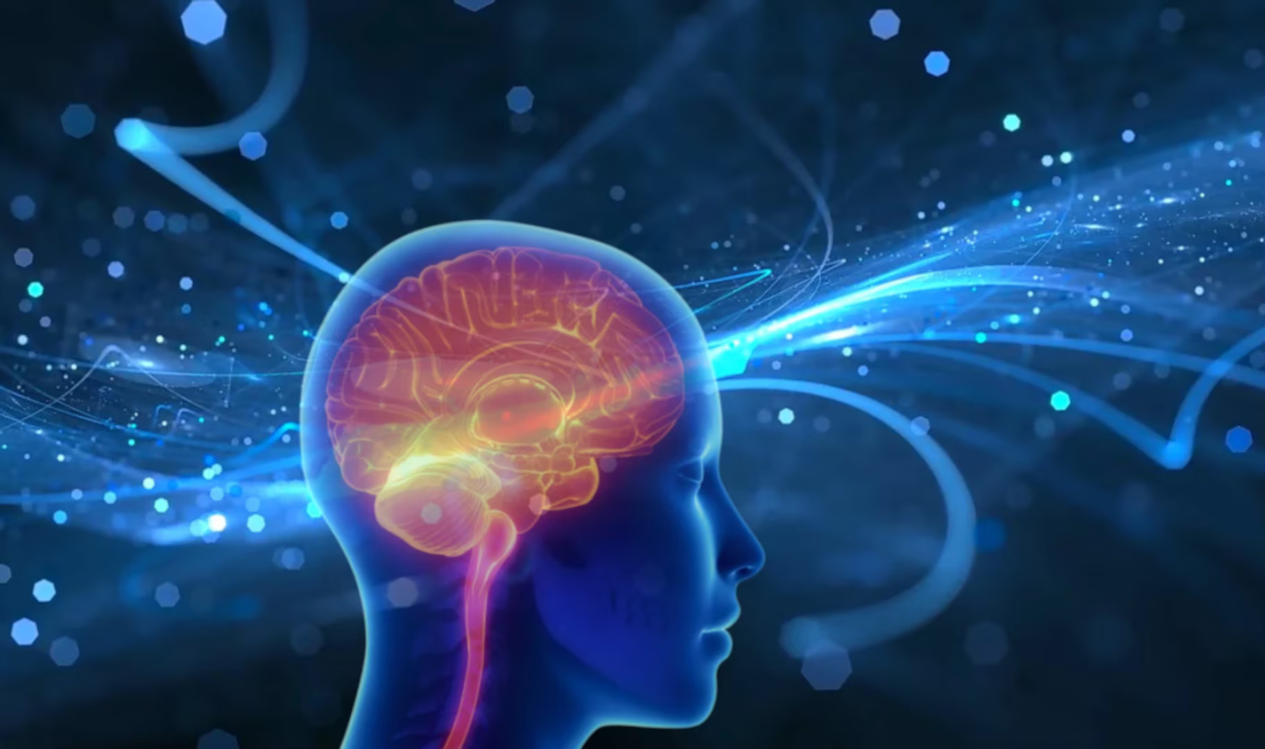  Supplements for Brain Inflammation | Science-Backed Brain Health Support