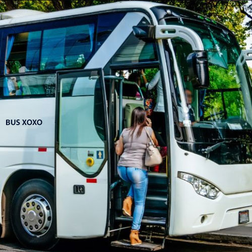  Miami Charter Bus Rental for Sightseeing Tours