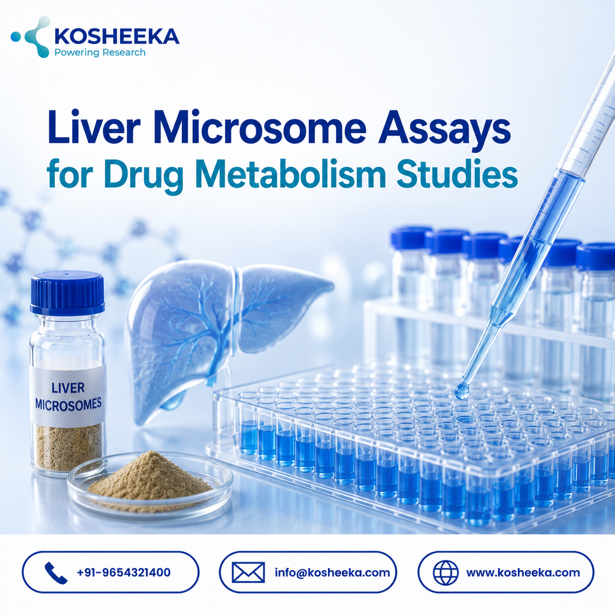  Liver Microsome Assays for Drug Metabolism Studies