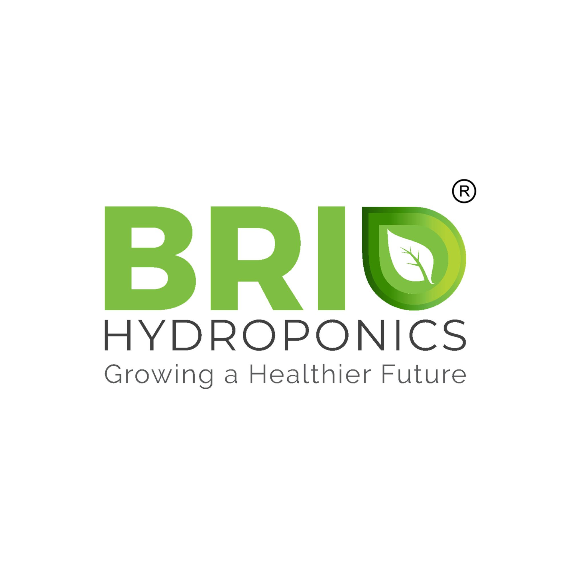  Premium Hydroponic Vegetables in India | Brio Hydroponics