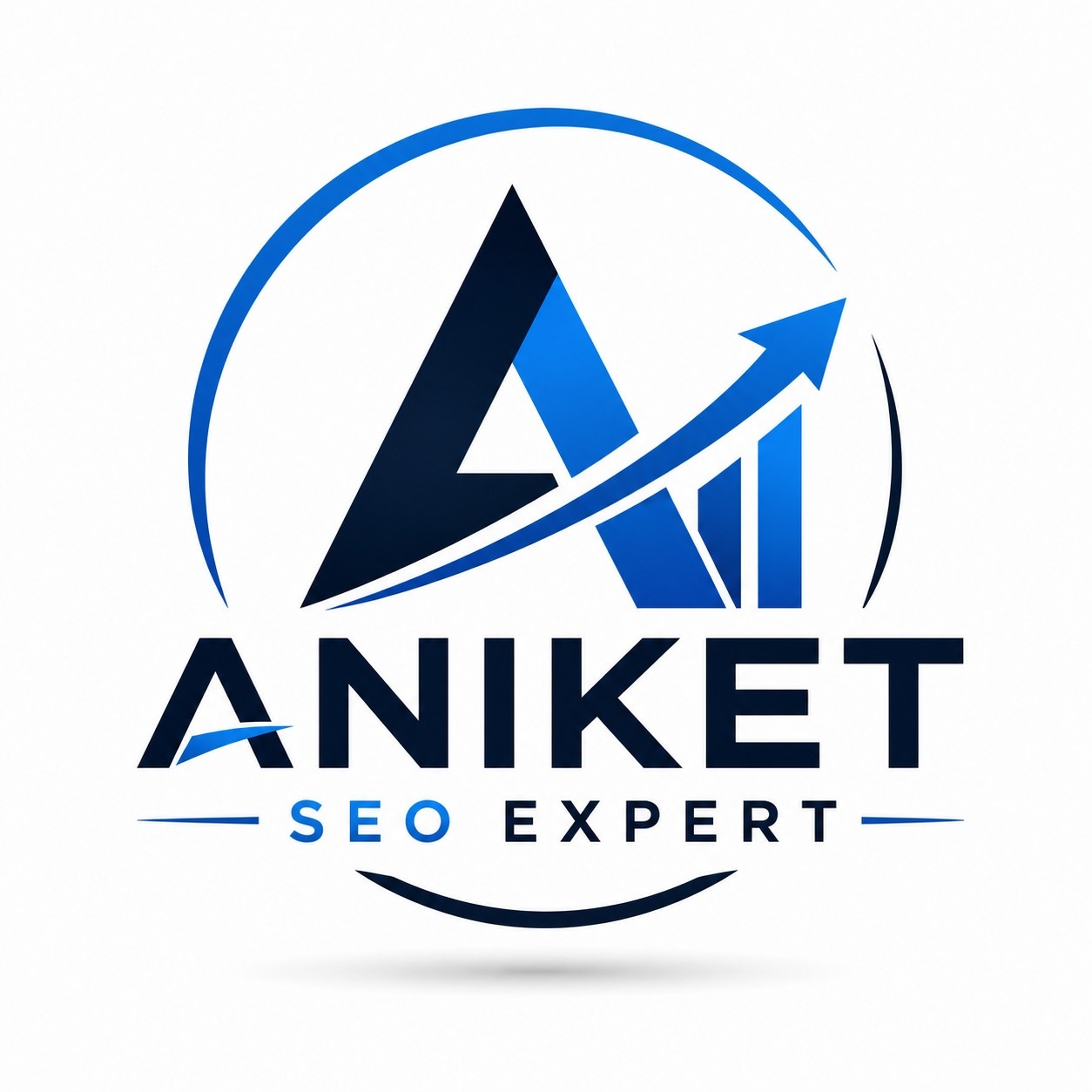  Aniket SEO Expert