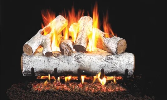  Buy White Birch 24" Vented Gas Log Set with G4 Ember Burner by Real Fyre