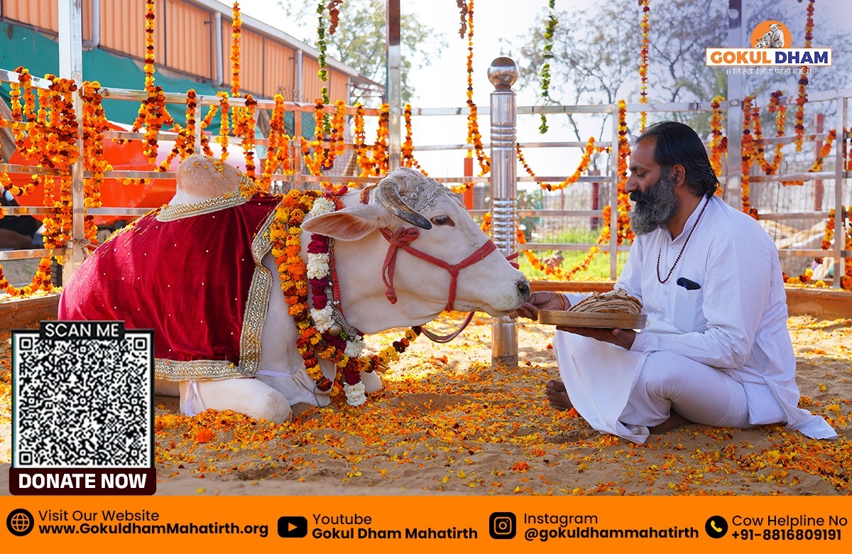  How Gaushala Donation Helps Cows