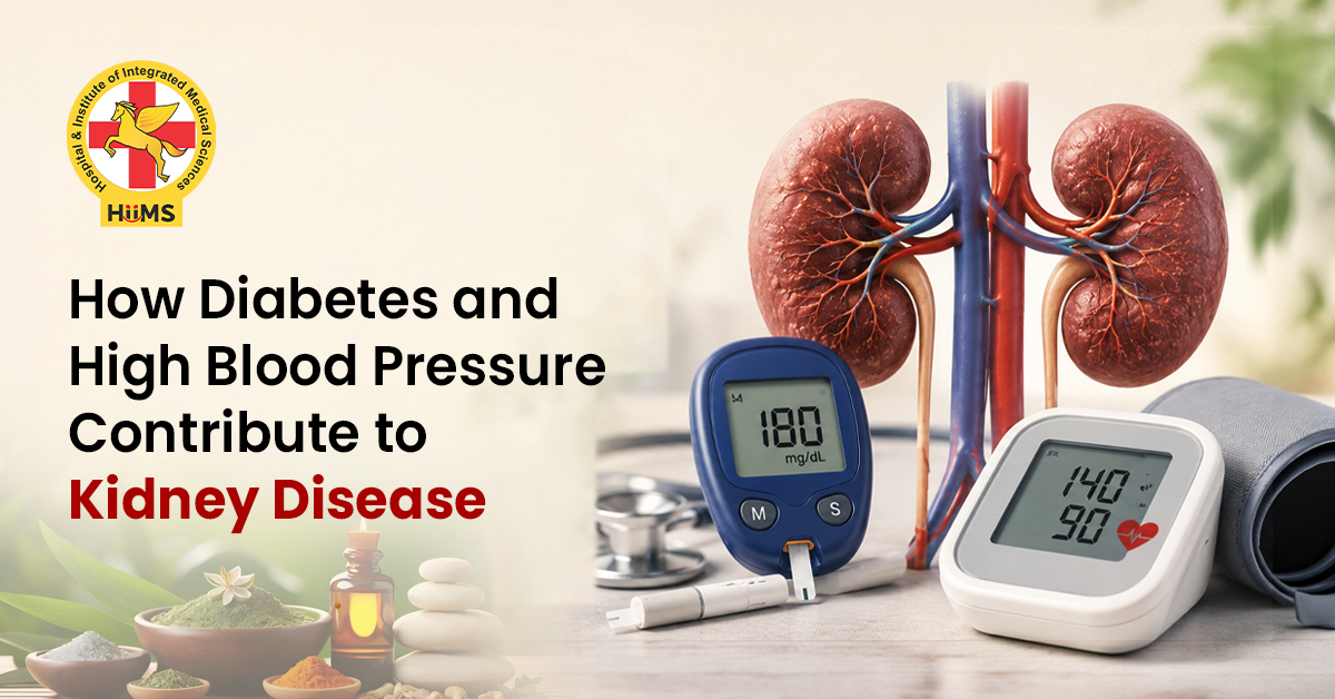  Natural Kidney Care for Diabetes & High BP Patients