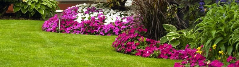  Professional Sprinkler Repair in Allen for Reliable Irrigation Performance