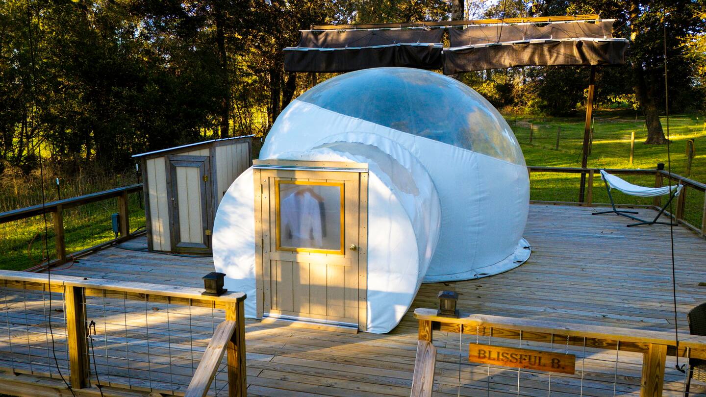  Bubble House Dome – Modern Outdoor Living Experience