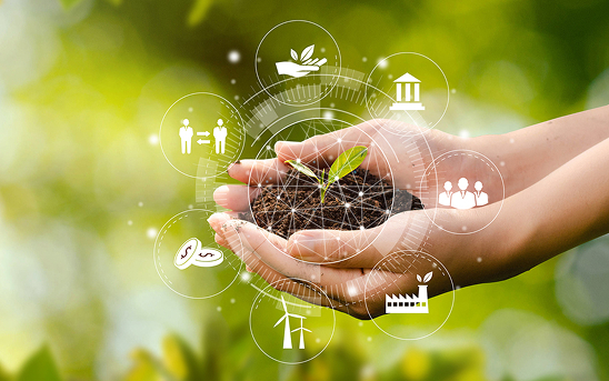  Expert Wealth Planning for Every Stage | Eclipse Financial Management