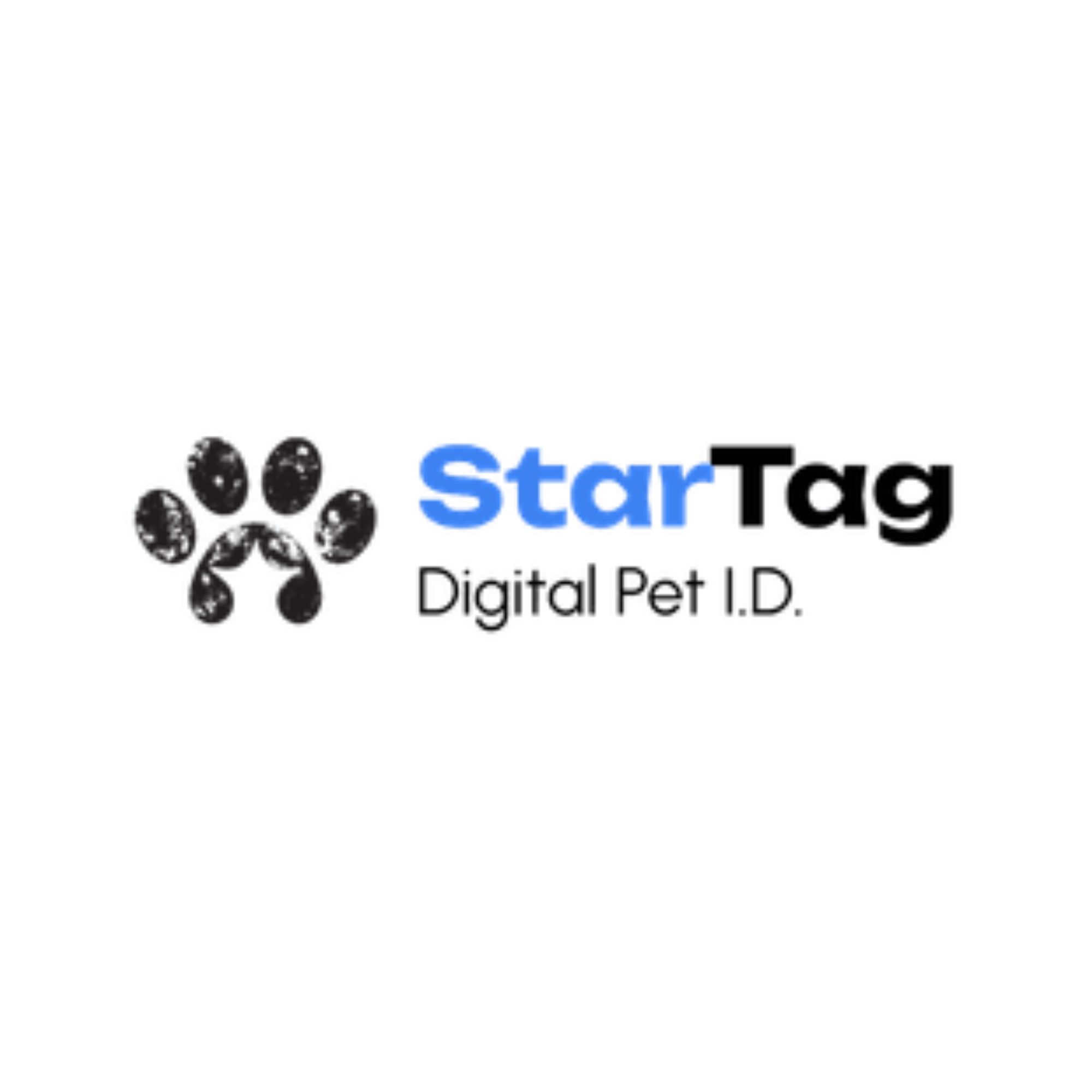  Upgrade Your Furry Friend’s Life with Smart Pet Accessories