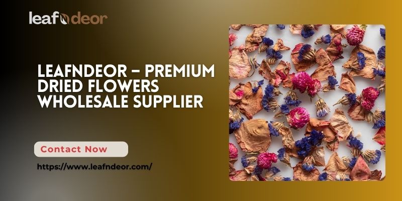  LeafnDeor – Premium Dried Flowers Wholesale Supplier