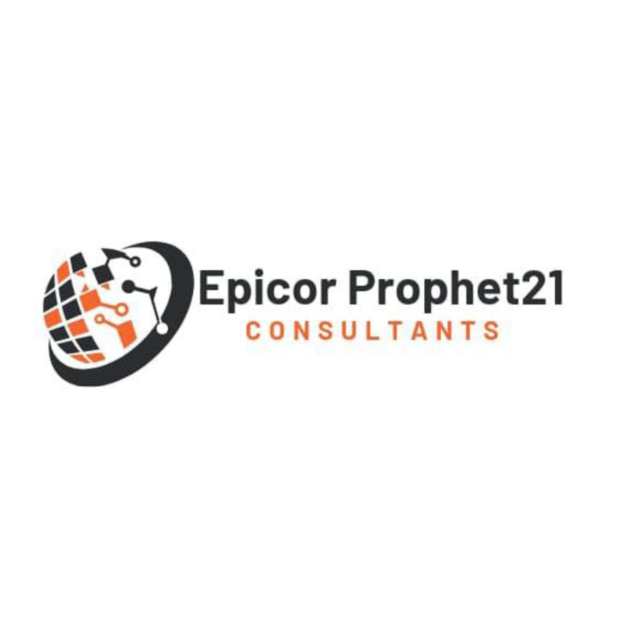  Epicor Prophet21 Consultants