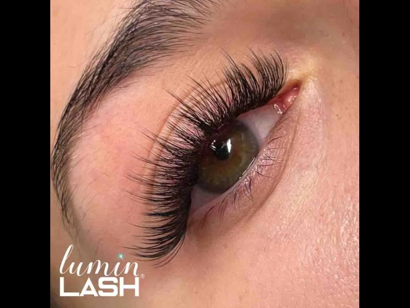  Eyelash Extensions Houston TX Expert Lash Services
