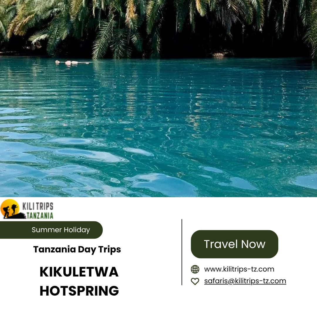  Discover Amazing Tanzania Day Trips for Unforgettable Adventures