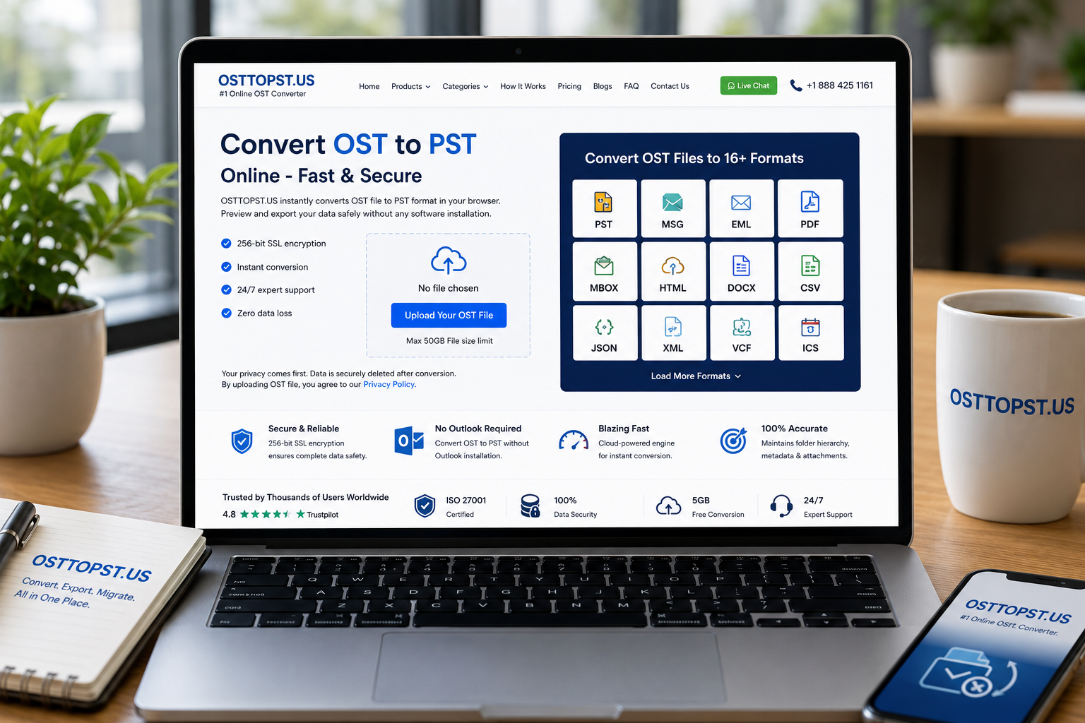  OST to PDF Converter