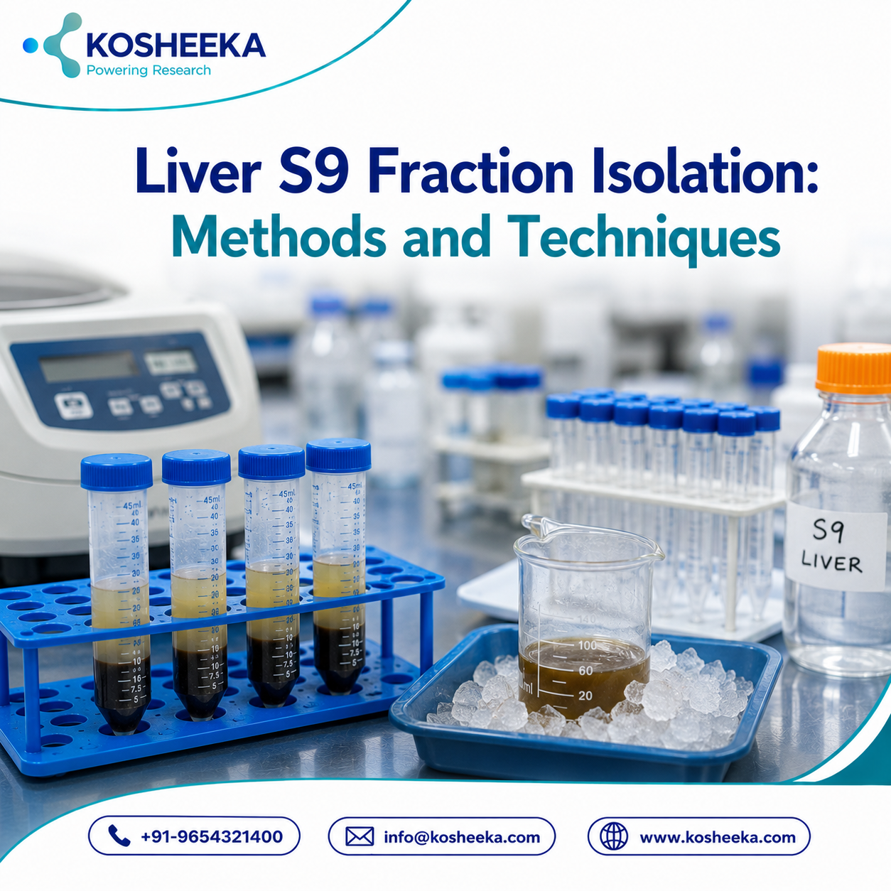  Liver S9 Fraction Isolation: Methods and Techniques